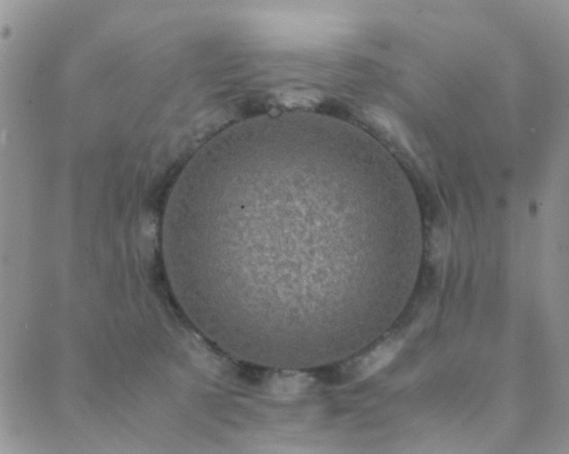 X0000089710321200706211350