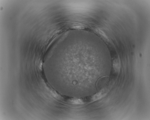 X0000089710322200706211350