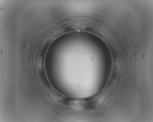 X0000089710323200706211349