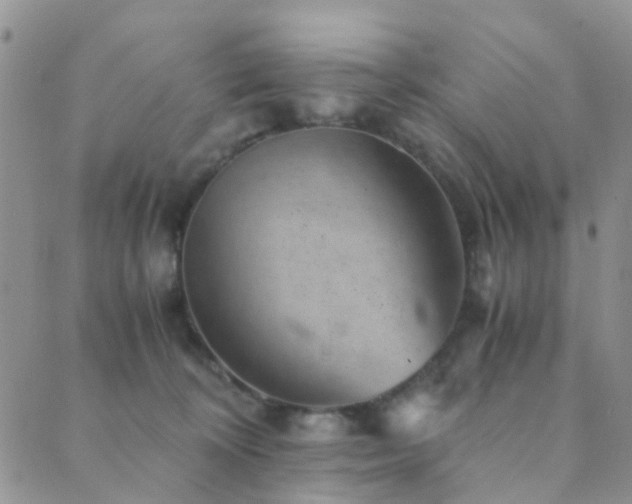 X0000089710324200706211349