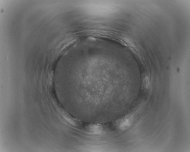 X0000089710325200706211349