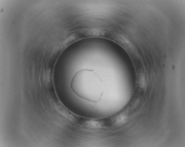 X0000089710326200706211349