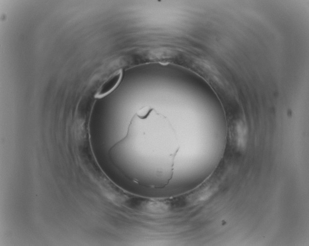 X0000089710327200706211349