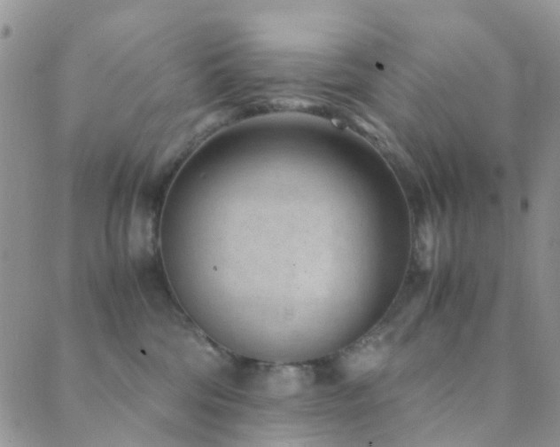 X0000089710330200706211349