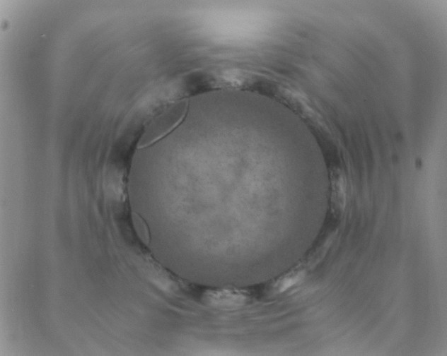 X0000089710331200706211349