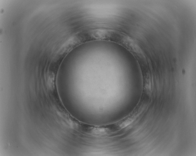 X0000089710332200706211349