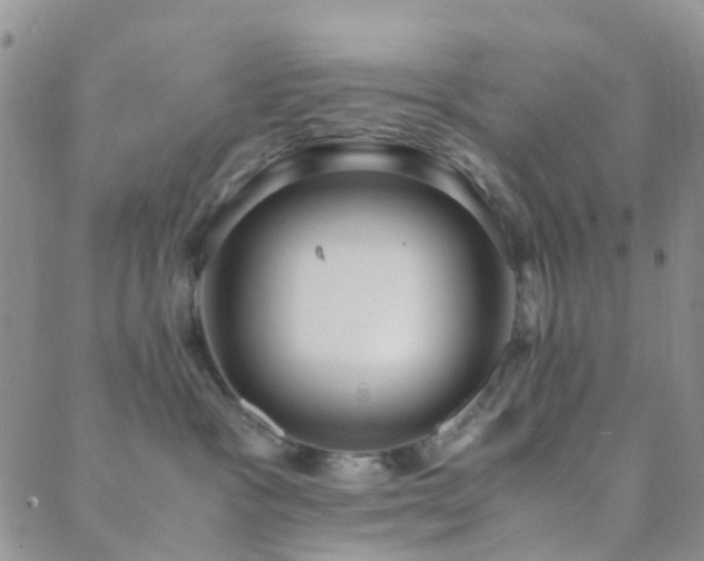 X0000089710333200706211349