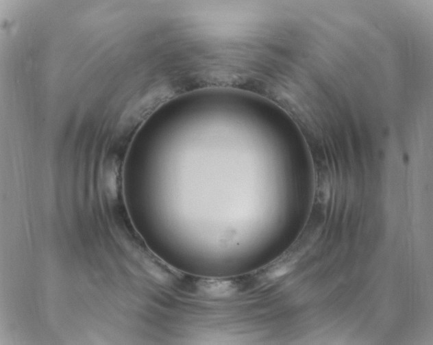 X0000089710334200706211349