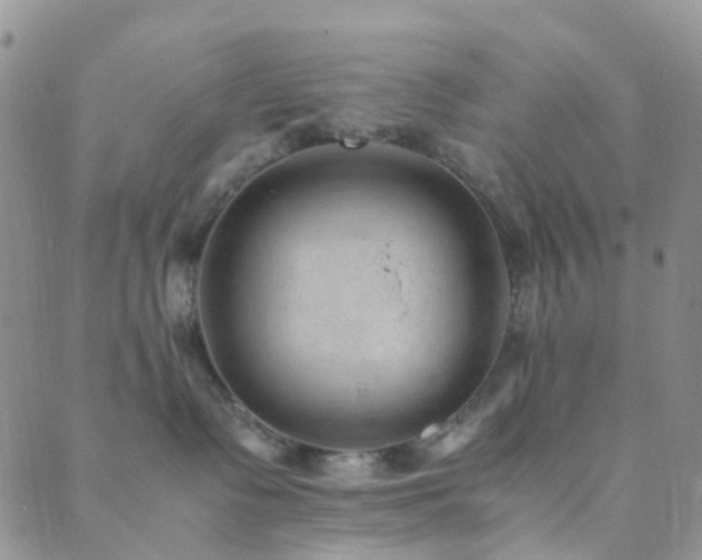 X0000089710335200706211349