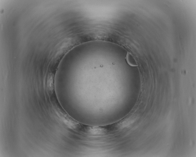 X0000089710336200706211349