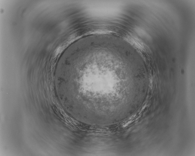 X0000089710337200706211348