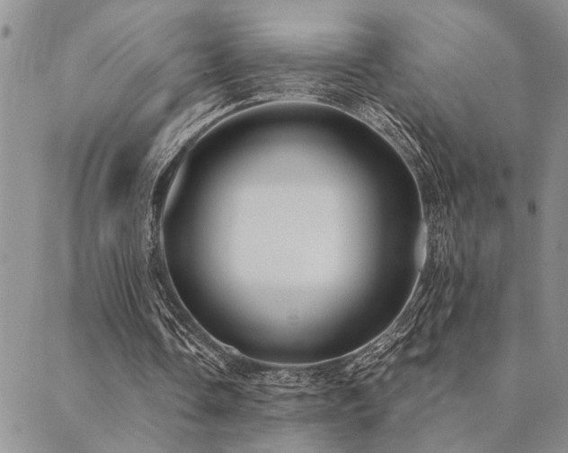 X0000089710338200706211349