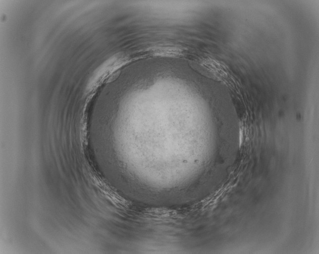 X0000089710339200706211349