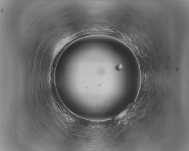 X0000089710340200706211349