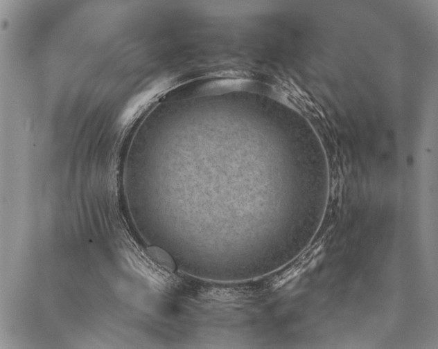 X0000089710341200706211349