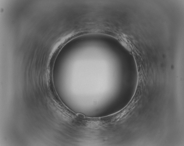 X0000089710342200706211349