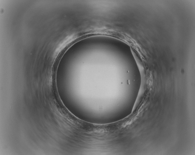 X0000089710344200706211349