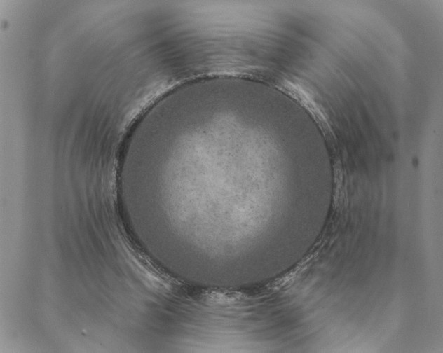 X0000089710346200706211349