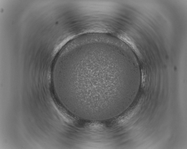 X0000089710348200706211349