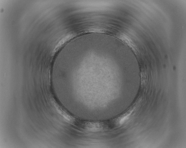 X0000089710349200706211349