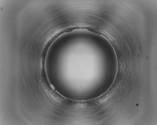 X0000089710350200706211349