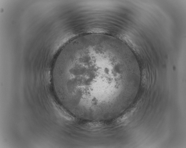 X0000089710351200706211349