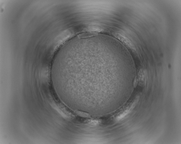 X0000089710352200706211349