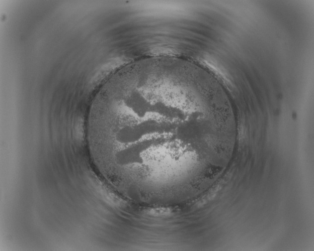 X0000089710353200706211349