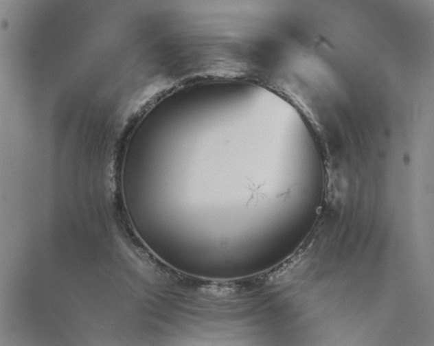 X0000089710354200706211349