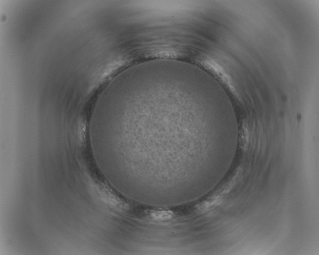 X0000089710355200706211349