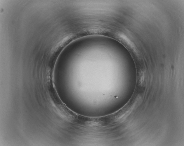 X0000089710356200706211349