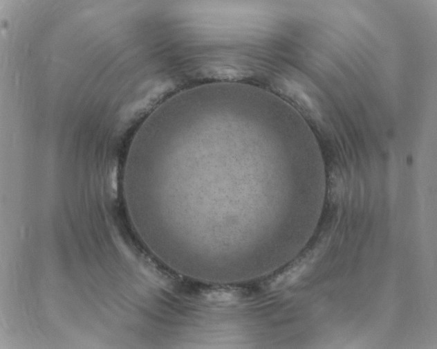 X0000089710358200706211349