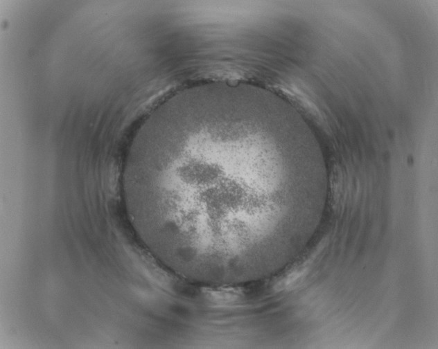 X0000089710359200706211349