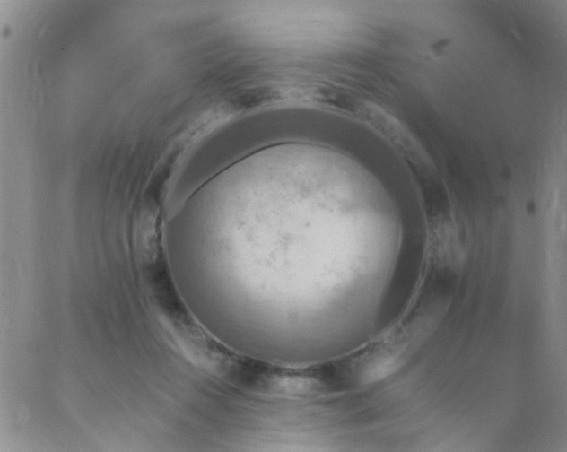 X0000089710360200706211349