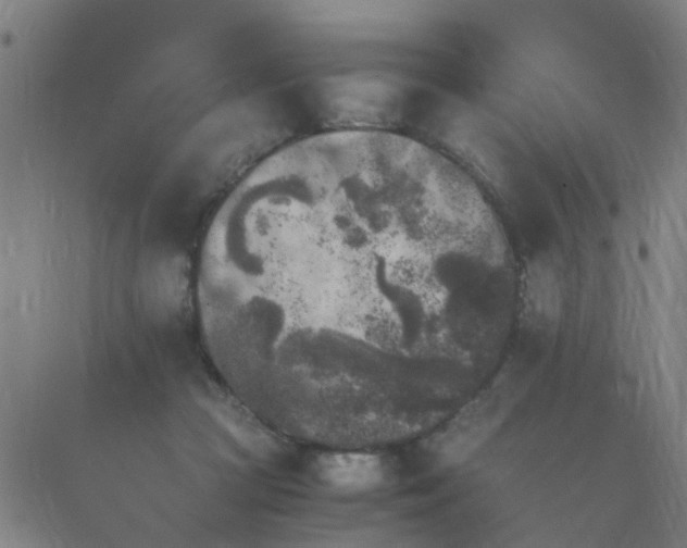 X0000089710361200706211349