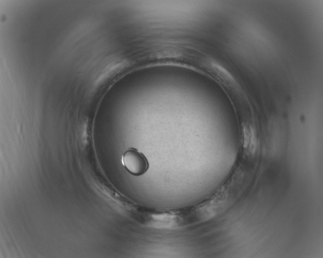 X0000089710362200706211349