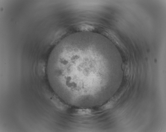 X0000089710363200706211349