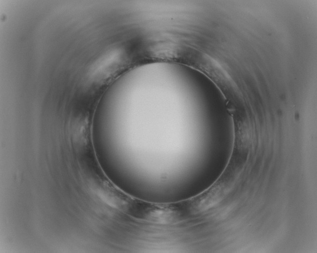 X0000089710364200706211349