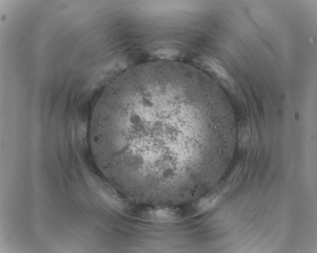 X0000089710365200706211349