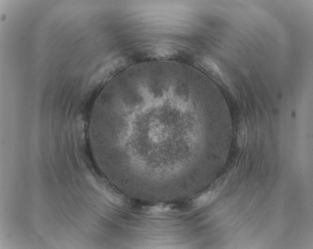 X0000089710366200706211349