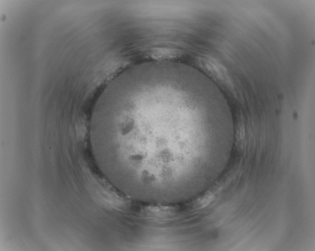 X0000089710367200706211349