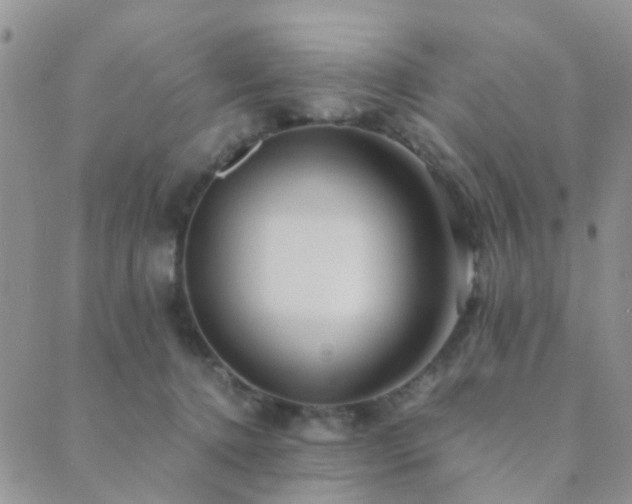 X0000089710368200706211349