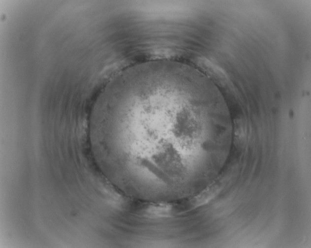 X0000089710369200706211349