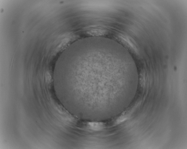 X0000089710371200706211349