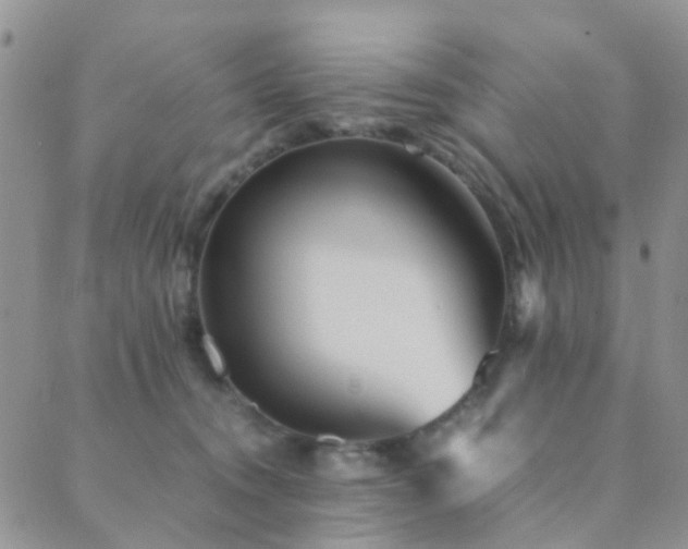 X0000089710372200706211349