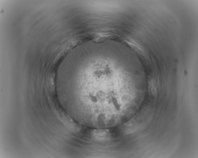 X0000089710373200706211349