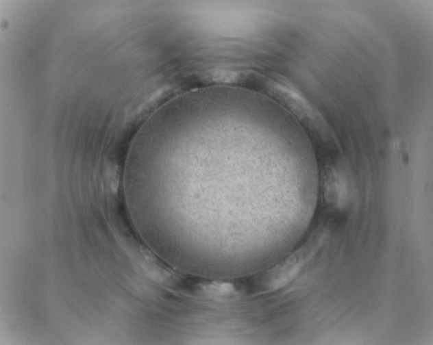 X0000089710374200706211349