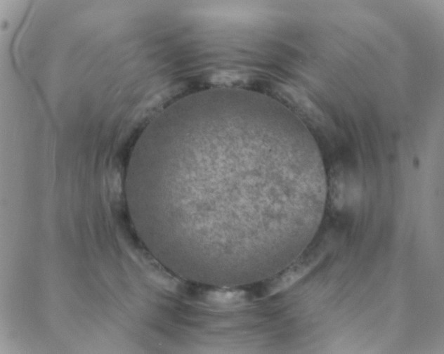 X0000089710375200706211349