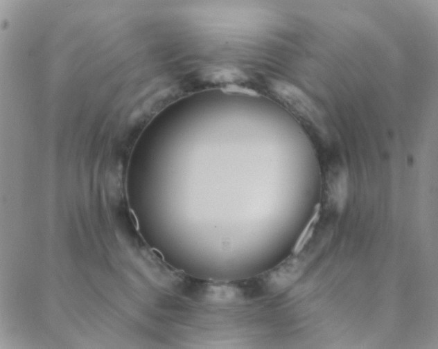 X0000089710376200706211349