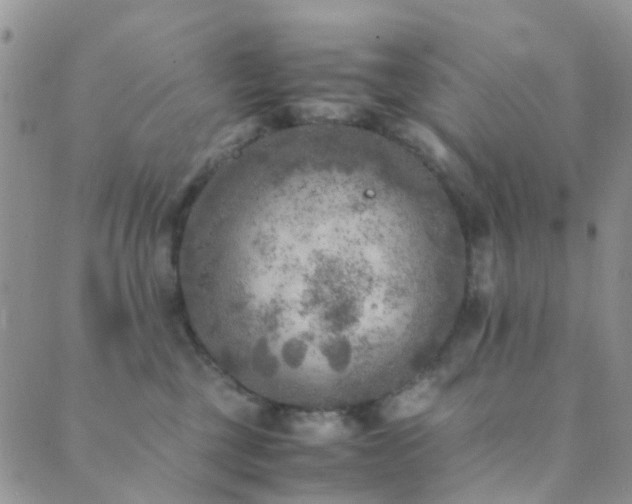 X0000089710377200706211349